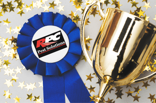 Win the game of Rat and Mouse by being prepared with RPC Pest Solutions Services. A blue ribbon with RPC Pest Solutions logo and a gold trophy with gold star confetti in the background.