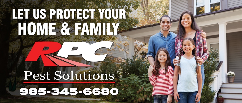 Specialized Termite Control | RPC Pest Solutions